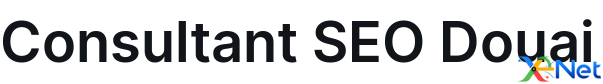 Consultant SEO Douai